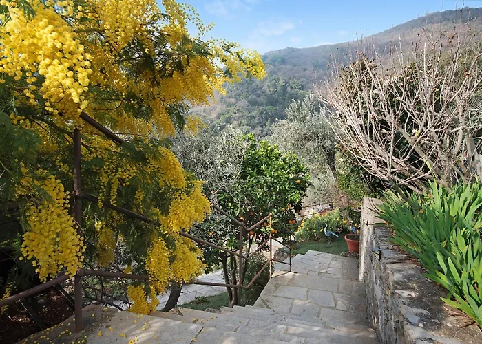 Ca' Du Massunin * Recco